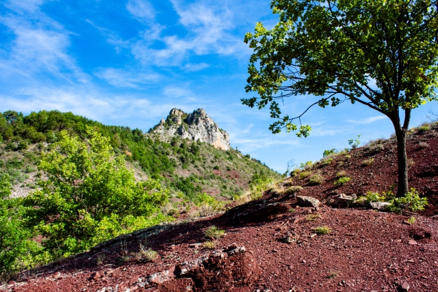 gorges de daluis - © OT Valberg