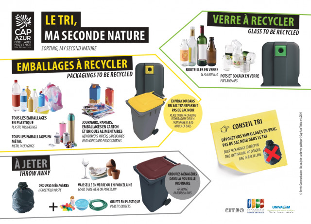 Memo Tri Memo Tri Peone