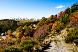 Randonnée pédestre - Circuit de Septenne_Péone