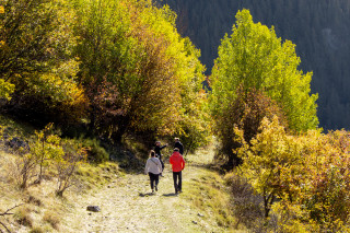 Randonnée pédestre - Circuit de Septenne_Péone