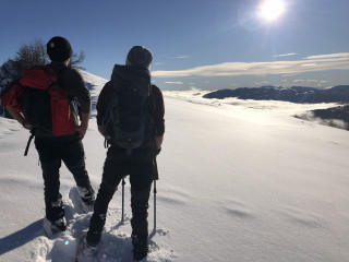 ovarando