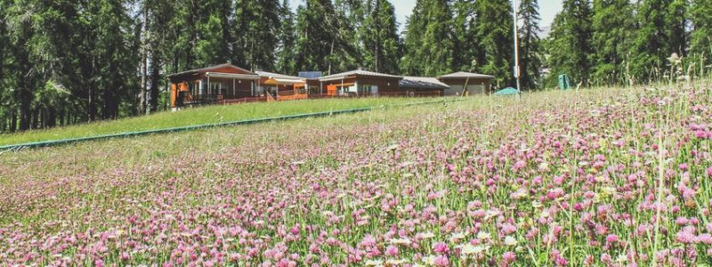 Crèche Bâtiment - © OT Valberg Crèche Bâtiment