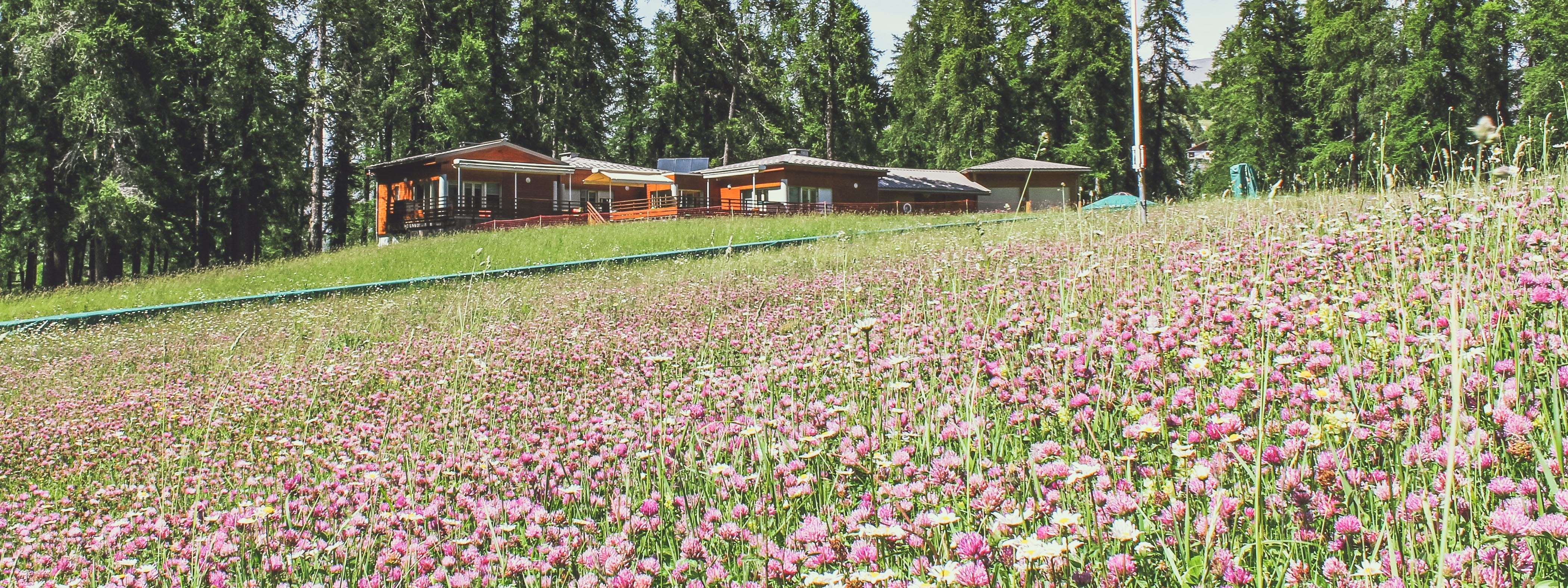 Valberg creche les Ptits Poucets ete