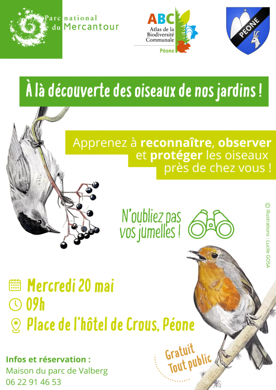 À la découverte des oiseaux de nos jardins !_Péone