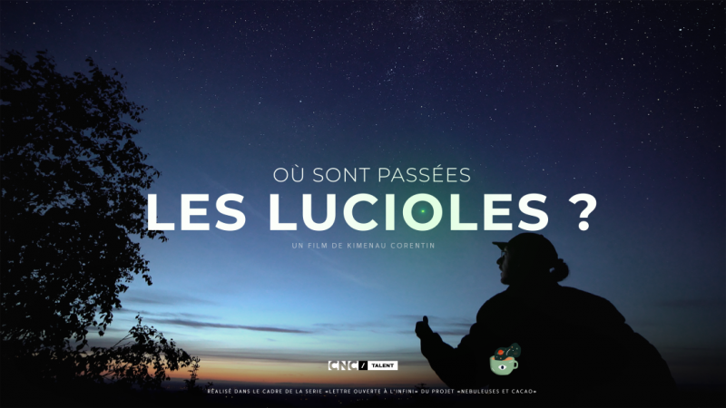 Où sont passées les lucioles_Péone